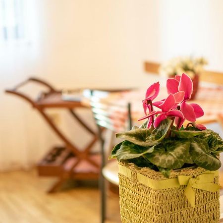 Apartments Mirjana Pula Extérieur photo
